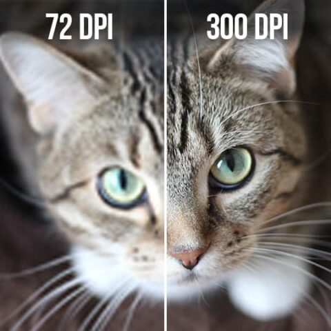 DPI Comparison