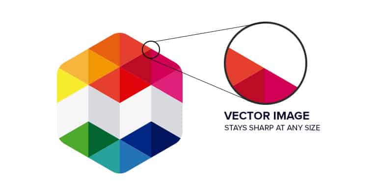 Vector Image